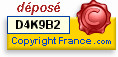 logo cliquable de copyright France
